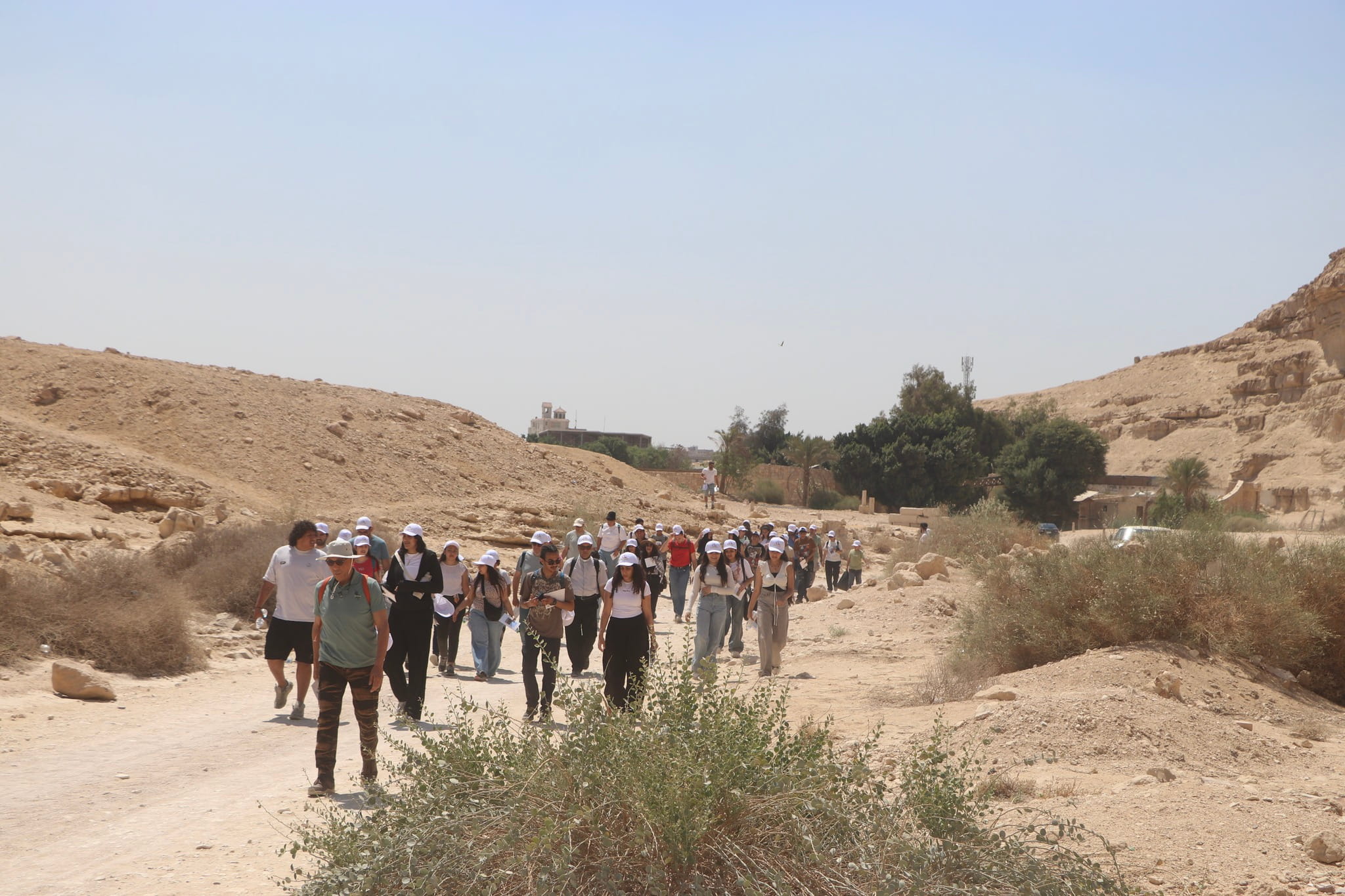 Pele Egypte 13 (1)